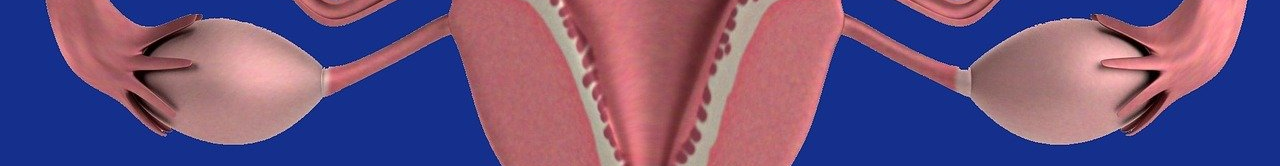 utip1